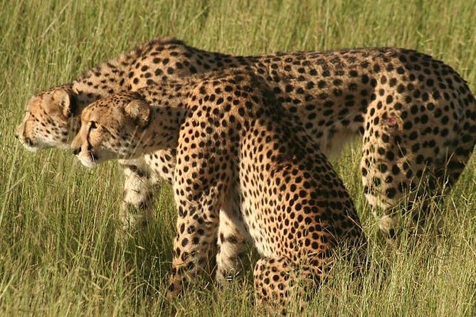 6 Days 5 Nights Amboseli, Tsavo & Diani Beach - Exclusions and Optional Activities