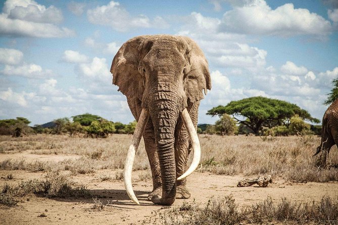 6 Days 5 Nights Amboseli, Tsavo & Diani Beach - Accommodation and Meals