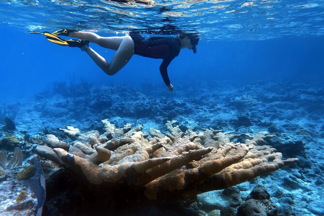 6 Days 5 Nights Sailing Catamaran Experience in Exumas, Bahamas - Water Sports and Equipment