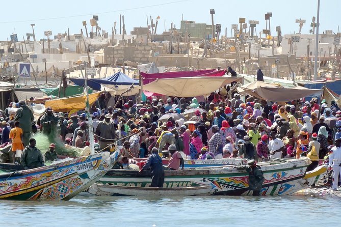 6 Days 5nights Dakar, Pink Lake, Touba,Niokolo Koba, Dindefello Falls Adventure - Inclusions and Exclusions