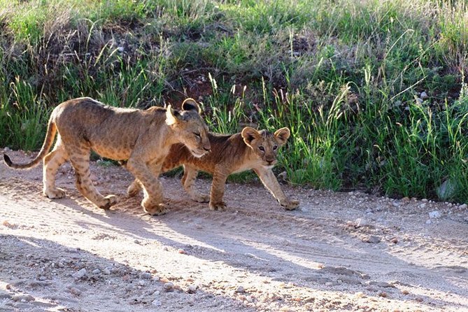 6 Days Aberdares, Lake Naivasha, Nakuru, Masai Mara From Nairobi - Booking Confirmation and Accessibility