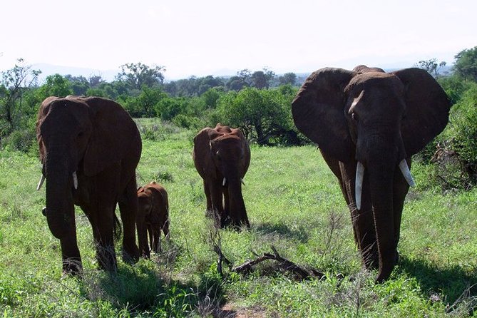 6 Days Aberdares, Lake Naivasha, Nakuru, Masai Mara From Nairobi - Cancellation Policy Details
