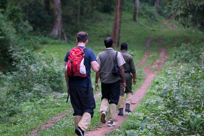 6 days active Kerala private tour by Green Earth Trails - Final Thoughts