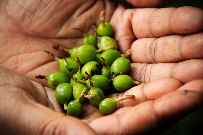 6 days active Kerala private tour by Green Earth Trails - FAQ