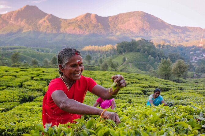 6 days active Kerala private tour by Green Earth Trails - Good To Know