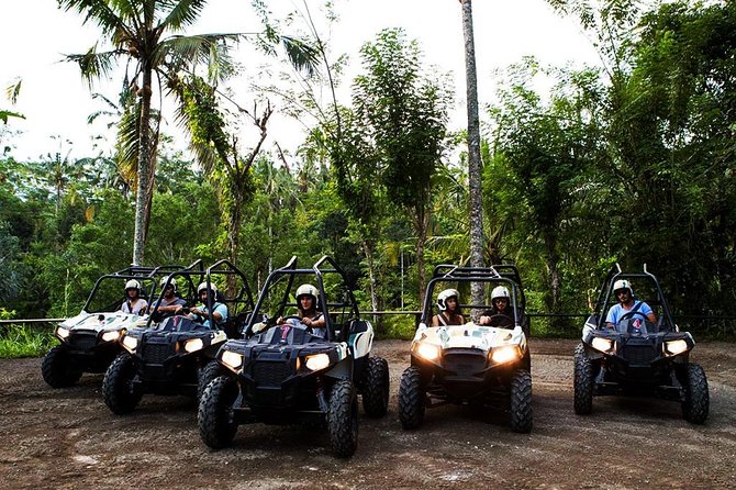 6 Days Bali Adventure Tour: Buggies, Classic VW, Rainforest Trekking & Rafting - Buggy Adventure