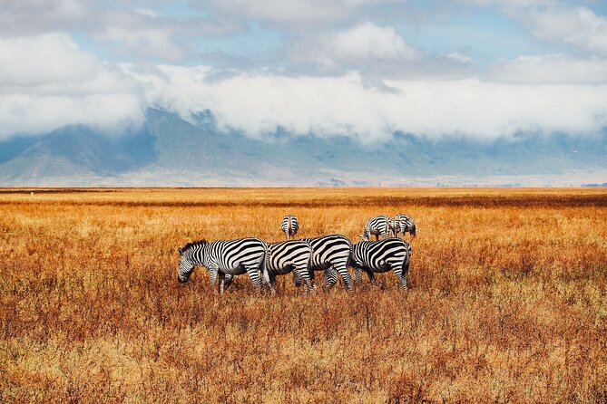 6 Days Best of Kenya Safaris Maasai Mara-Lake Nakuru Amboseli National Park - Dining Experience