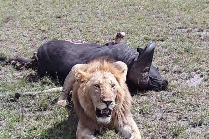 6 Days Best of Kenya Safaris Maasai Mara-Lake Nakuru Amboseli National Park - Accommodation Details