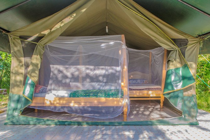 6 Days Best of Maasai Mara, Lake Nakuru and Amboseli Budget Safari - Accommodation and Meals