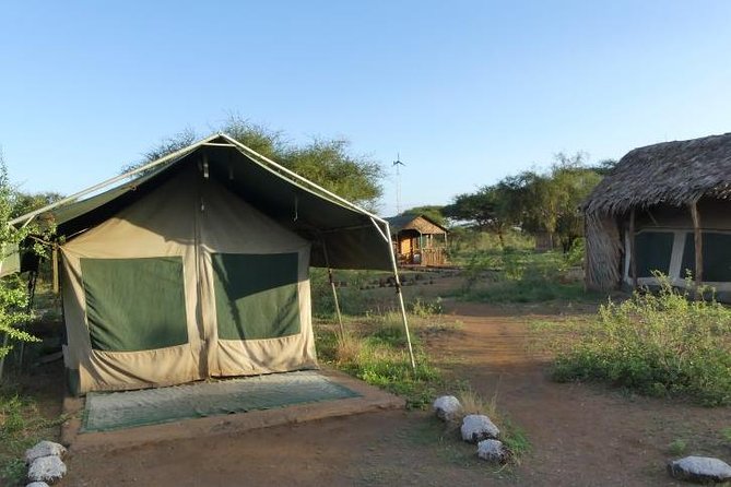 6 Days Best of Maasai Mara, Lake Nakuru and Amboseli Budget Safari - Wildlife Viewing Highlights