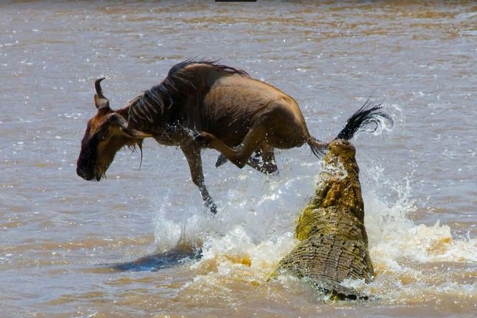 6 Days Best of Maasai Mara, Lake Nakuru and Amboseli Budget Safari - Booking and Cancellation Policy