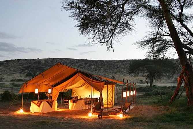 6 Days Big 5 Holiday Safari Adventure - Good To Know