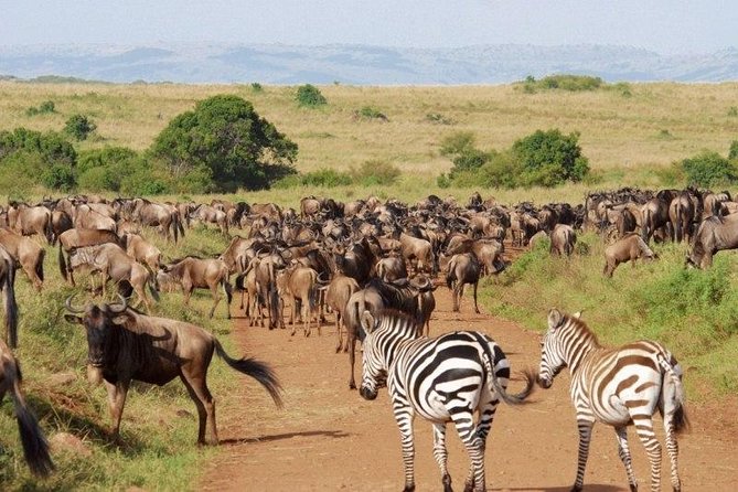 6 Days Big 5 Holiday Safari Adventure - Accommodation Details