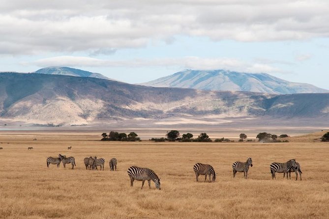 6 Days Budget Tanzania Camping Safari - Transportation and Guides