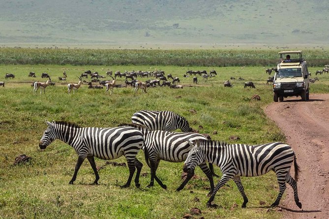 6 Days Budget Tanzania Camping Safari - Booking Information and Policies