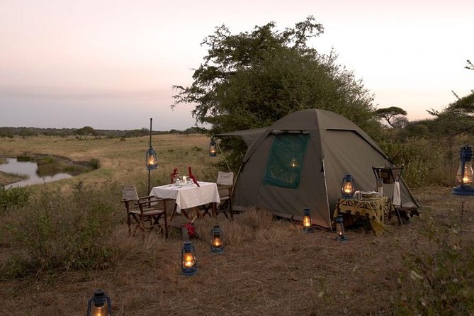 6 Days Budget Tanzania Camping Safari - Price and Reviews