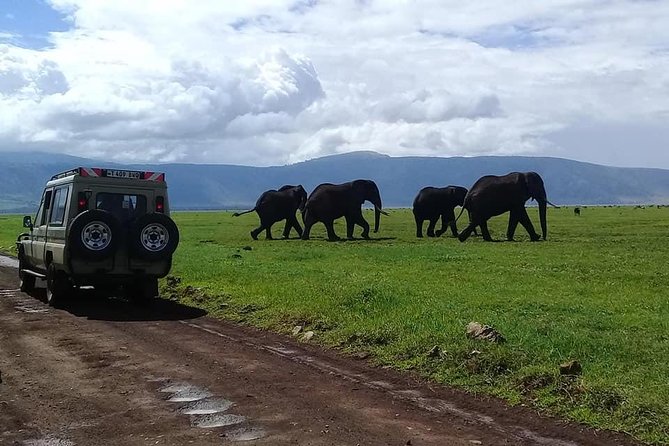 6 Days Budget Tanzania Camping Safari - The Sum Up