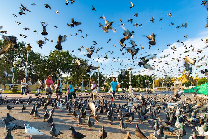 6 Days Cambodia Highlights - Practical Information and Tips