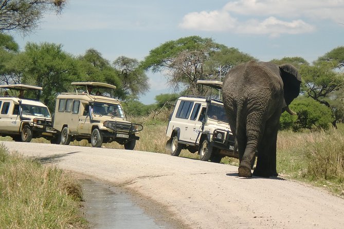 6 Days Camping Tours Lake Manyara, Ngorongoro,Serengeti National Park - Good To Know