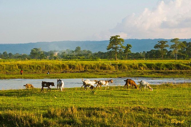 6 Days Chepang Village Homestay Hill Hike - Pricing and Guarantee