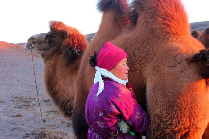 6 Days Color of Gobi Desert - The Itinerary in Detail: What You Can Expect
