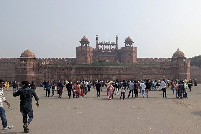 6 Days - Delhi, Agra, Ranthambore and Jaipur Private Guided Tour - Days 3 & 4: Wildlife Safaris & Scenic Drives