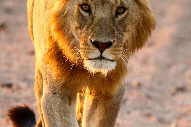 6 Days Enchanting Tanzania Safaris - Mid Range Safari - Accommodation Details