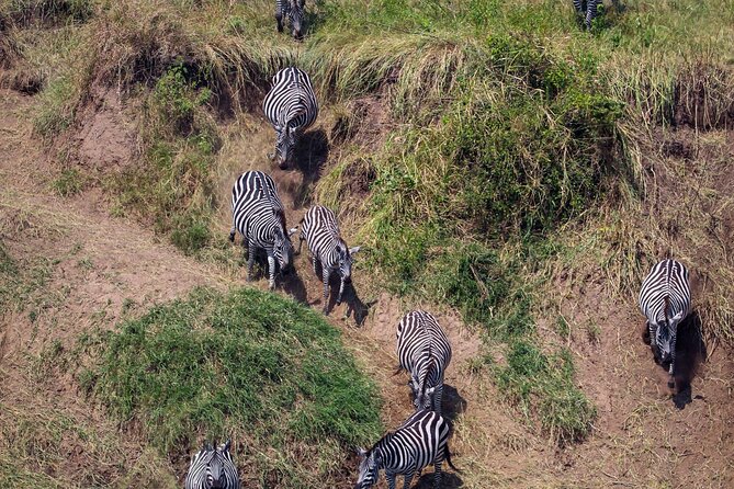 6 Days Enchanting Tanzania Safaris - Mid Range Safari - Frequently Asked Questions