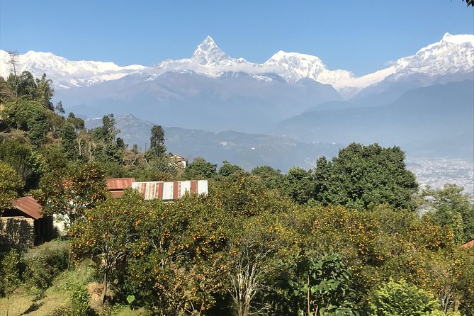 6 Days Exciting Mardi Himal Trek From Pokhara - Inclusions and Accommodation