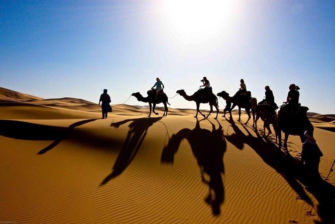 6 Days: From Casablanca Morocco Desert - Day 1: Arrival in Casablanca