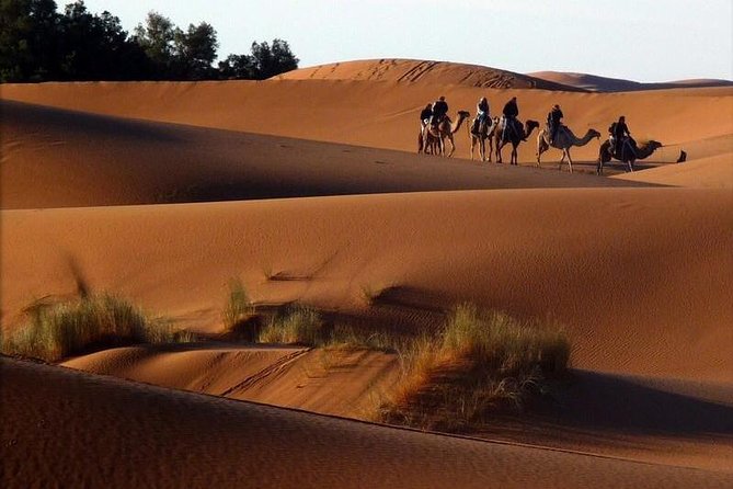 6 Days: From Casablanca Morocco Desert - The Sum Up