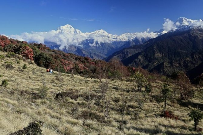 6 Days Ghorepani Ghandruk Short Annapurna Homestay Trek - Additional Information and Languages Offered