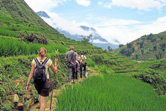 6 Days Glimpse of Northern Vietnam - From Hanoi to Sapa: Scenic Train and Mountain Adventures