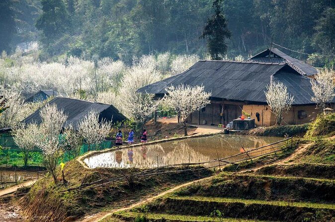 6 Days Glimpse of Northern Vietnam - Practical Details and Considerations