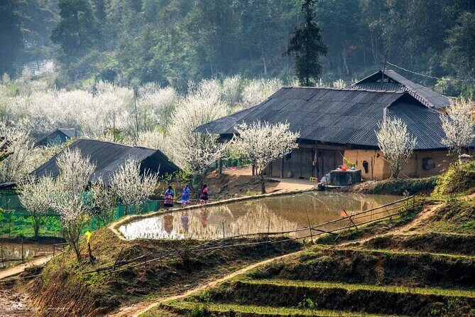 6 Days Glimpse of Northern Vietnam - The Sum Up