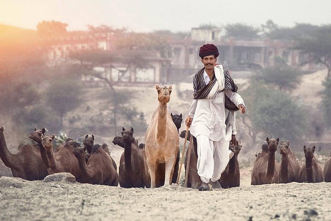 6 Days Golden Triangle Tour With Pushkar : Delhi, Agra and Jaipur - Day 1: Delhi Exploration