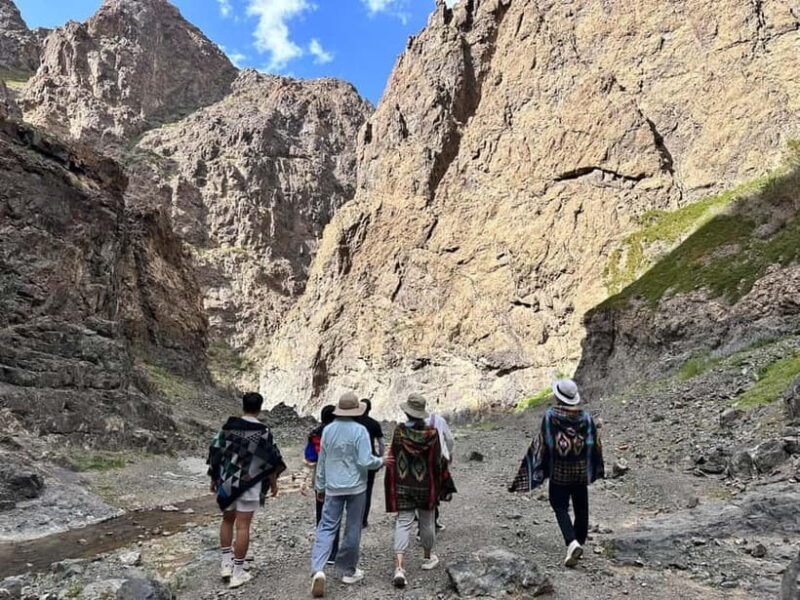 6 Days Great Gobi tour-Amazing memory - Exploring the 6 Days Great Gobi Tour: An Authentic Mongolian Experience