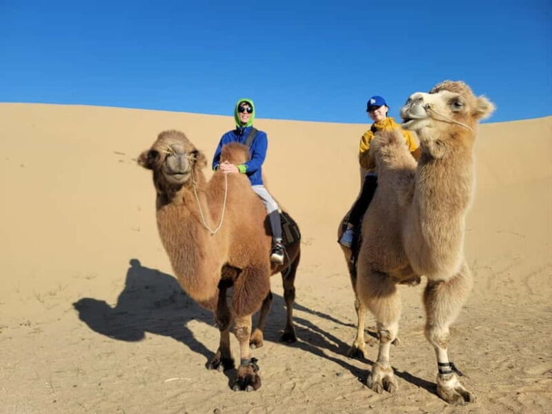 6 Days Great Gobi tour-Amazing memory - Final Thoughts