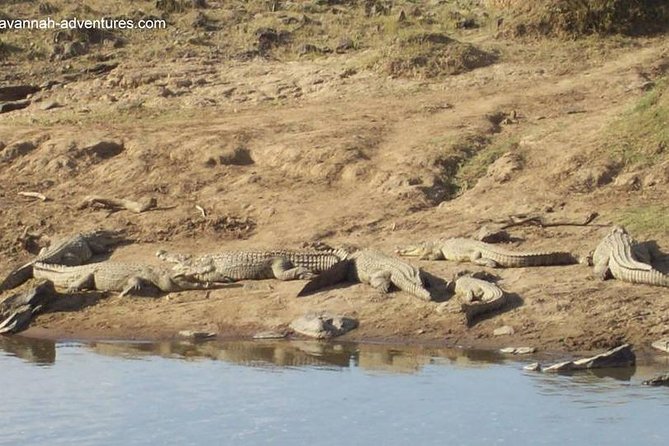 6 Days Guided Safari: Nairobi / Lake Nakuru / Lake Naivasha / Masai Mara N R - Guided Activities and Excursions