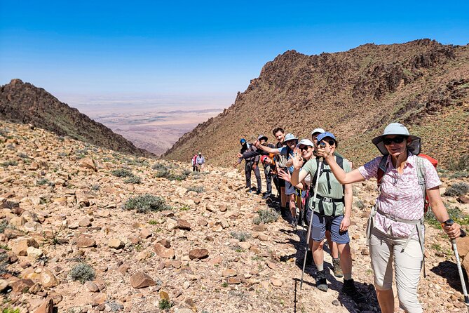 6 Days Guided Trek From Dana to Petra (Group) - Meal Inclusions