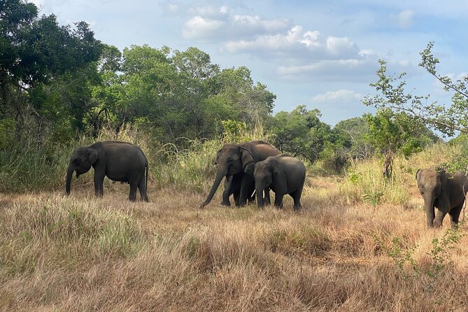 6 Days Heritage Tour in Sri Lanka (Private) - The Sum Up