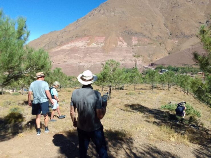 6 Days Hiking in Toubkal Massif - Activity Description