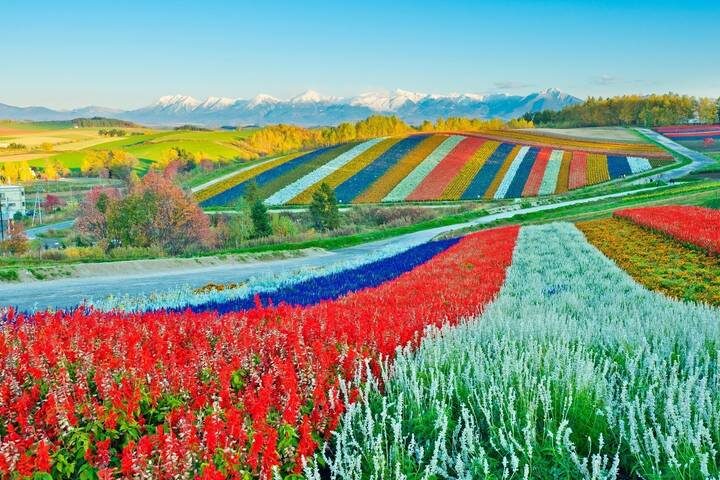 6 Days Hokkaidos Floral Symphony Tour by UME Travel - A six-day route built around summer