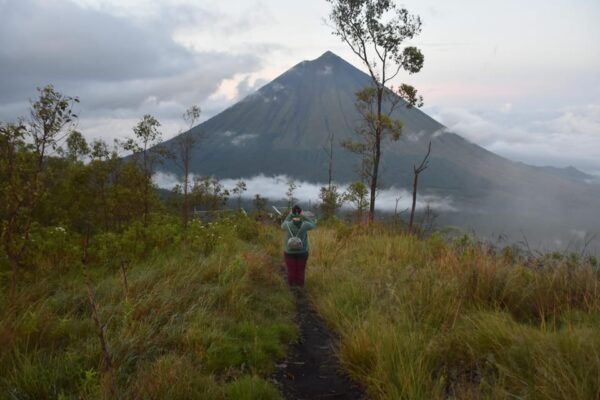 6 Days in Flores - Booking Process