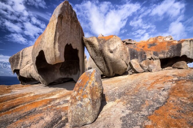 6 Days Kangaroo Island & Adelaide Shared Tour - Booking and Pricing