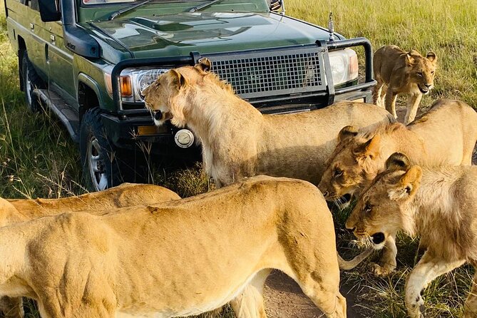 6 Days Kenya Budget Group Safari - Pickup Information and Logistics