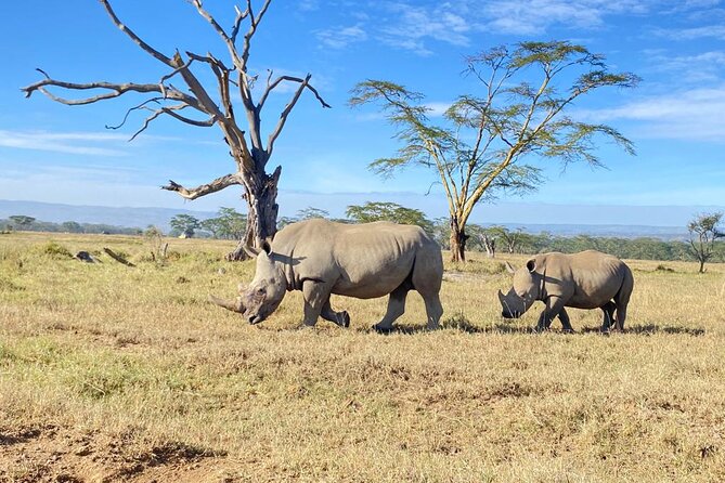6 Days Kenya Budget Group Safari - Additional Important Details