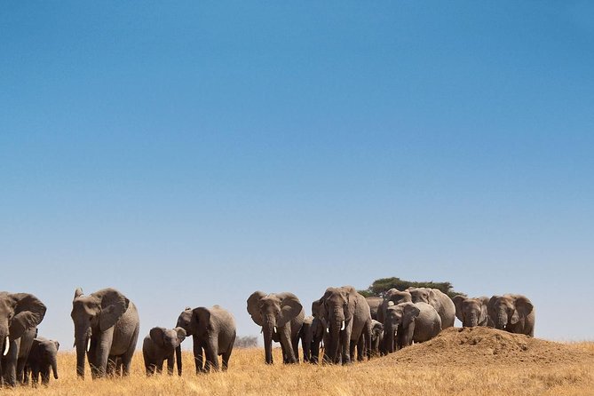 6 Days Kenya Lodge Safari Packages - Meeting and Pickup Details