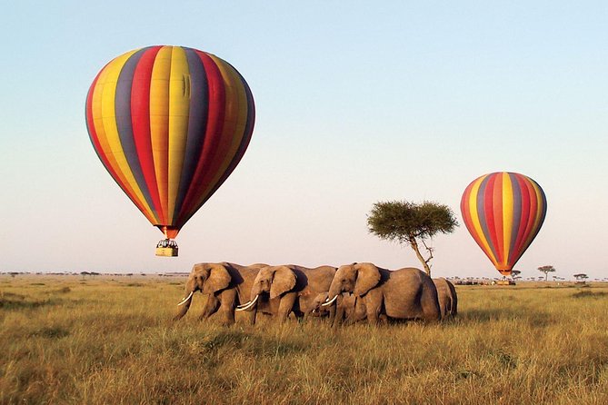 6 Days Kenya Lodge Safari Packages - Cancellation Policy Information