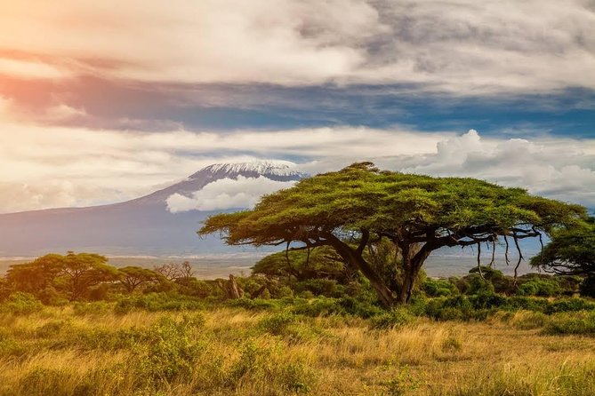 6 Days Kenya Safari - Itinerary Highlights
